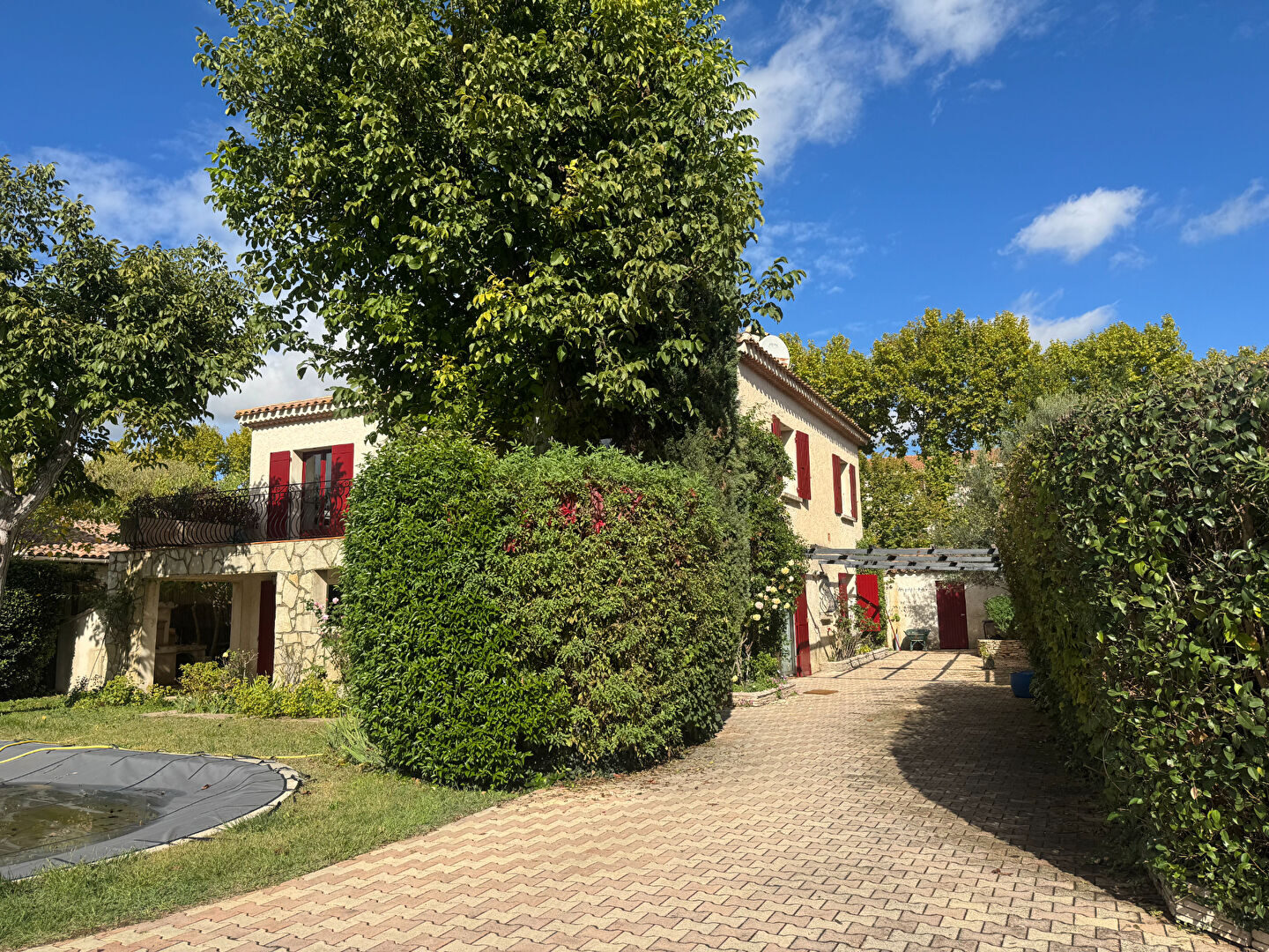 Property view